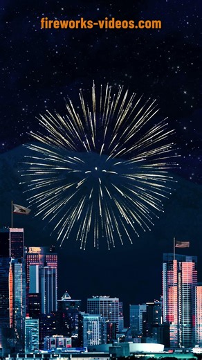 Los Angeles Downtown Business District 02 Dahlia Peony Fireworks Short #fireworks