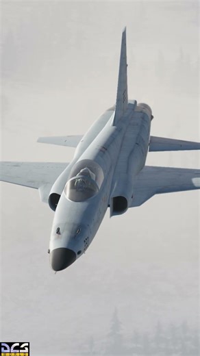 #f5 #aviation #dcsworld #pc #pcgaming #shorts #gaming #youtubeshorts #dcsworld #military