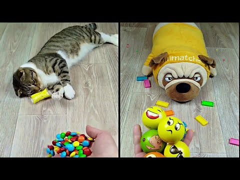 Satisfying Reverse Video ASMR 💥 Marble Run and More