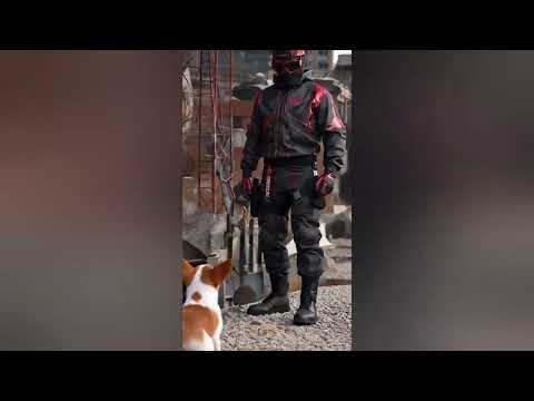 Put my dog in my cod clips
