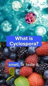 What is Cyclospora?