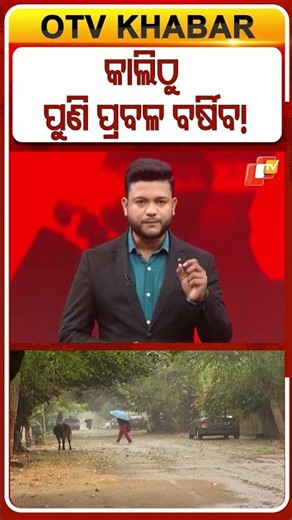 କାଲିଠୁ ପୁଣି ପ୍ରବଳ ବର୍ଷିବ ! #Rain #weatherupdate #Odisha #OTV