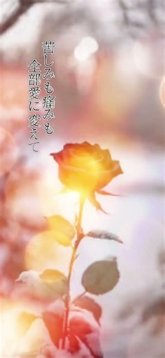 #祈り花／平井大𑁍ࠬܓₘ
