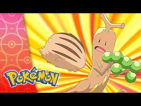 Hot Springing a Leak! | POKÉMON FULL EPISODE 11 | Season 11