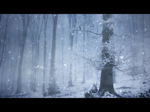 Beautiful Relaxing Music, Peaceful Soothing instrumental Music, "Snowy December Woods" by Tim Janis