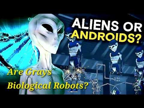 Androids Or Aliens Theory | EBE's Or Self-Replicating Machines Controlled By AI? #DavidWilcock