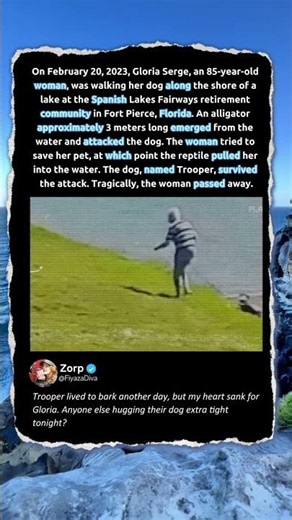 Alligator Attack in Florida – Woman Dies Saving Her Dog 🐊 #Florida #Wildlife #Tragic
