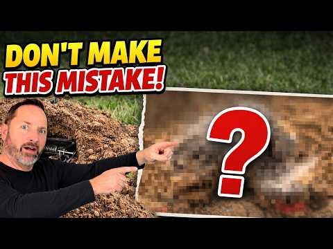 Backyard Gopher Trapping Part 2 ⚠️ What Happens If You DON’T Check Your Traps!