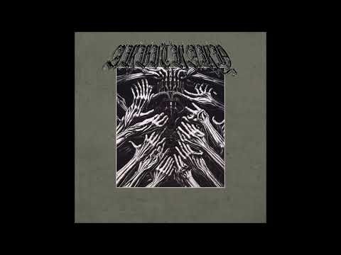 Arbitrary - Judgement