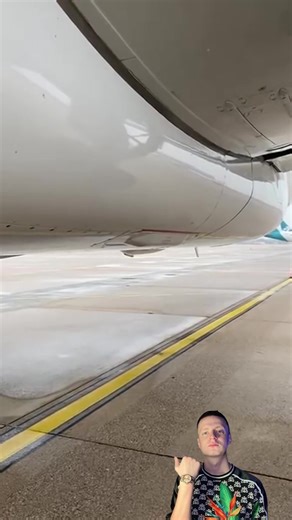 Comprendre la fonction de la rata dans l'aviation