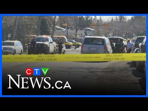 1 dead following fight in southwest Calgary | CTV News Calgary Noon Update for May 6, 2026