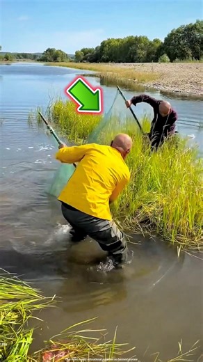 How did these two brothers work together to catch fish from the river? 😱 #shortvideo #fishing