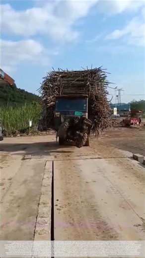 The moment of losing balance: A truck loaded with sugarcane challenges a steep slope.