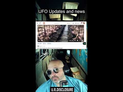 UFOs in the Last 24 Hours: Real Sightings or Just Sky Noise?" (Portrait)