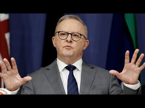 ‘Buck doesn’t stop with him’: Albanese has ‘no interest’ in accepting ownership of his system