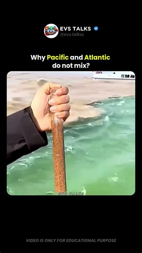 Why the Pacific and Atlantic Oceans Don’t Mix 😳🌊