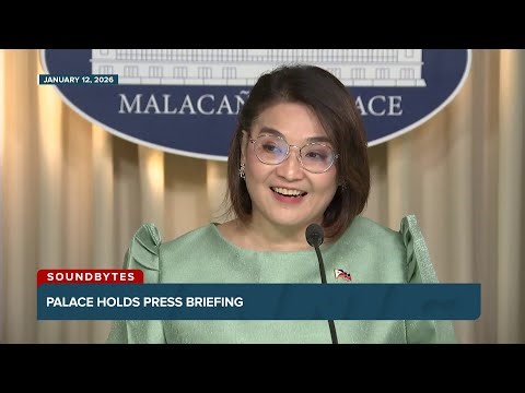 'Wag sila magpabudol': Castro on Ramon Tulfo claims 'BGC Boys' eye deal with VP Duterte | ANC