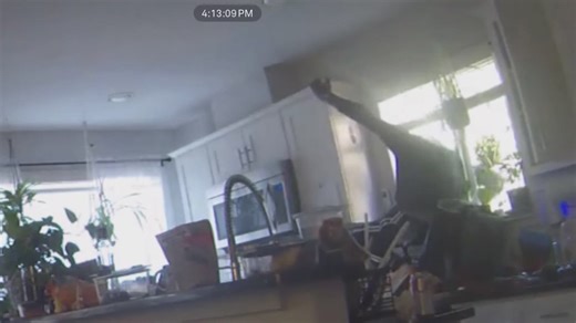 Man dubbed 'Spiderman' burglar arrested after multiple alleged break-ins in Montrose area