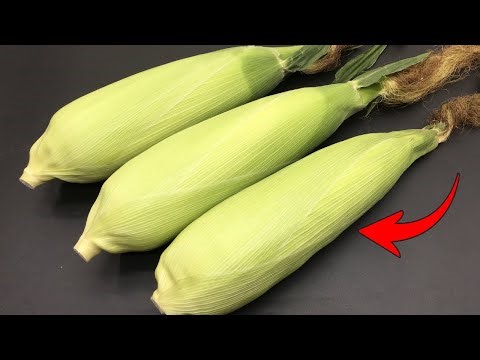 Stop Throwing Away Corn Husks! 5 Smart Ways to Reuse Them! | Top DIY