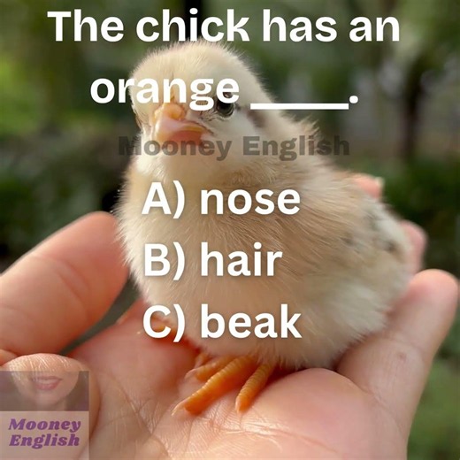 No one gets this right! Can you? (047)