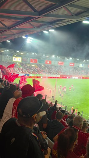 Schweine FCC🐷🐷🐷 #hfc #chemiehalle #scheissjena #fy #hallescherfc