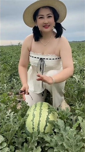 Amazing watermelon 🍉🍉 farming by rural farmer | Delicious fruits #fruit #watermelon
