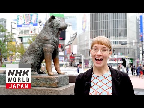 Shibuya: The Labyrinth Nestled Within a Valley - Dive in Tokyo