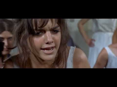 Man, Pride and Vengeance