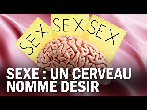 SEXE : UN CERVEAU NOMMÉ DÉSIR