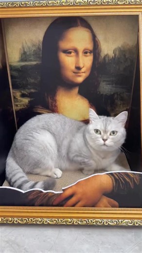 Scratch in style! 🎨🐾 This art-inspired cat scratch board combines a functional scratching surface with interchangeable painting backgrounds. Let your cat unleash their inner artist while adding a decorative touch to your home. Creativity meets claw care. #CatScratchArt #PaintingScratcher #InteractiveDecor #CatFurniture #PetArt ReplaceableDesign CreativeCat HomeDeco | NioPets