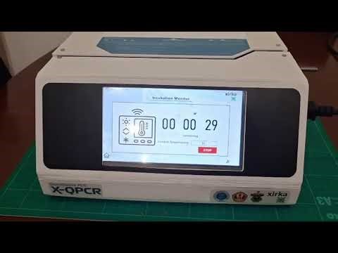 X-QPCR is used to rapidly detect and quantify Mycobacterium tuberculosis in patient samples .