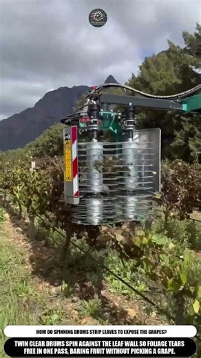 Vineyard Leaf Remover Strips Foliage To Expose Grapes