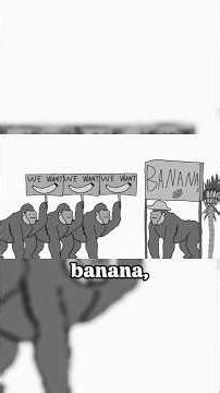Inflation Changed Everything 💸 #animation #finance