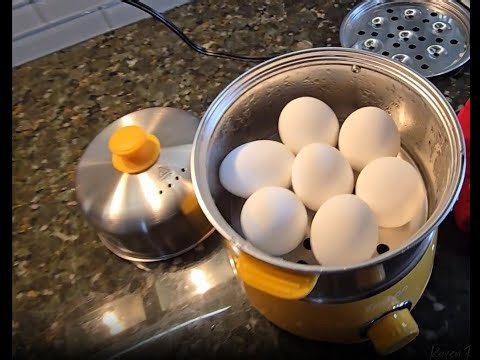 Things I wish I knew before buying an Egg and veggie steamer | CACHOO