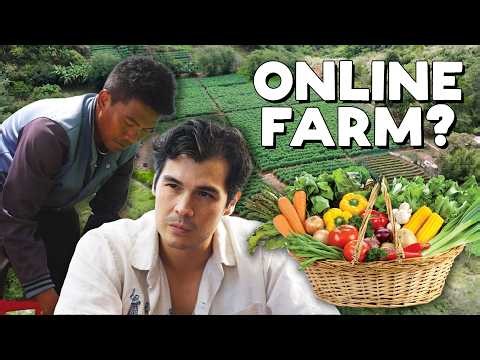 How Organic Farming is Changing the Way Filipinos Eat