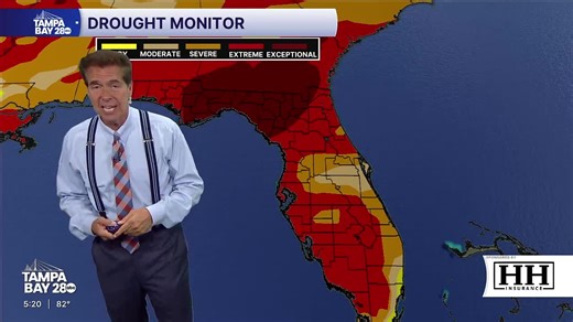 Forecast: Weather continues to stay warm in Tampa Bay