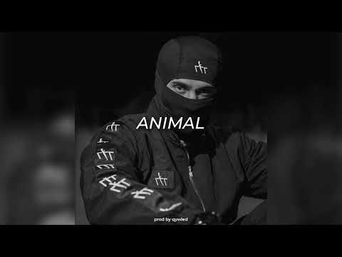 Trap Type Beat - "ANIMAL" x Type Beat x Freestyle Beat x Trap Rap Instrumental 2026