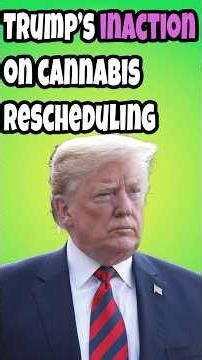 Trump's Inaction on Cannabis Policy in 2025