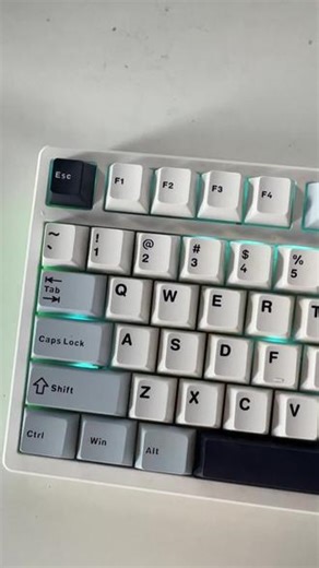 玩吧活爹们，反正计算机专业有自己的作业帮（网页版）#计算机#Python #大学生#网站#人工智能