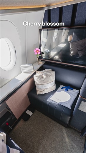 Can you name our First Class flower? 🤓​ Drop your guess below! 👇
