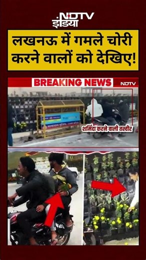 Lucknow Flower Pot Theft News:लखनऊ में गमले चोरी करने वालों को देखिए!|#shorts #viralvideosnews
