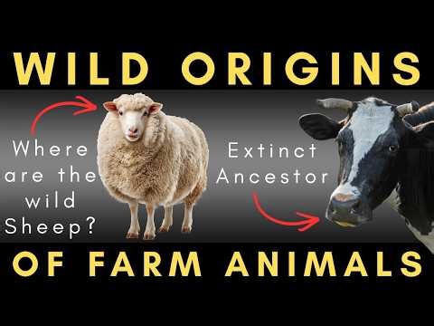 The Wild Animals We Now Farm