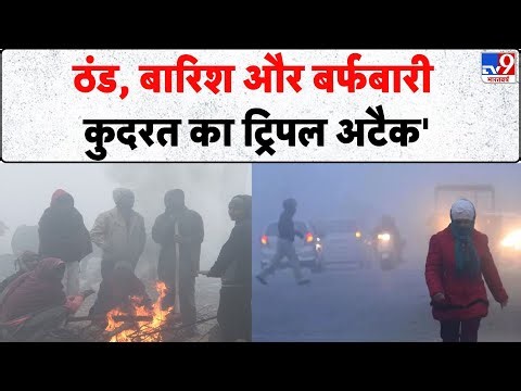 Weather Update: ठंड, बारिश और बर्फबारी कुदरत का ट्रिपल अटैक | IMD | Cold Wave | Rainfall