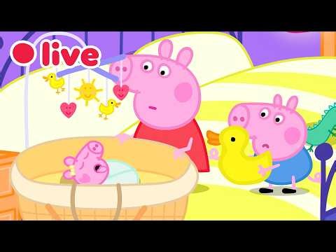 🔴 LIVE: Cutest Baby Evie Episode 🍼 Peppa Pig Best Big Sister Moments✨Kids Cartoons 🐷 FULL Episodes