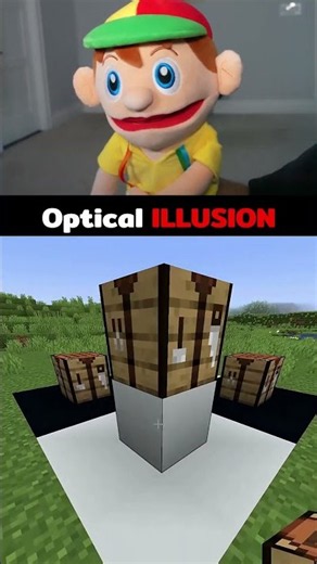 Best Minecraft Optical Illusion!