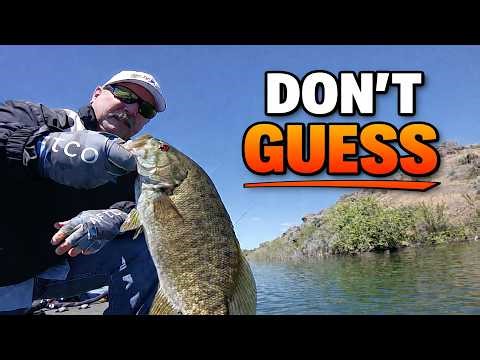 Where Do Bass Go After They Spawn? Post Spawn Bass Fishing on New Lakes!