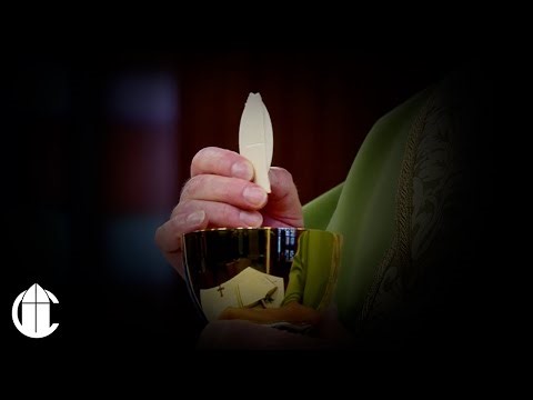 DAILY CATHOLIC MASS 1/19/26 | Christ the Eternal High Priest and the New Wine of the Gospel