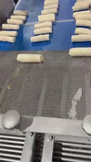 Spring roll making machine #machine #manufacturing #frozenfood #frozenfrenchfries