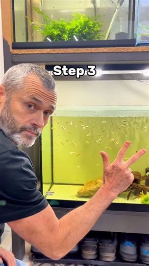 ShrimplyTheBest on Instagram: "Here’s to set up your first fish tank correctly step by step!🐟✅ #fishtank #aquarium #fishtanksetup #fishkeepingtips #fishkeeper"