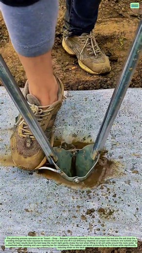 Skyrocket Planting Productivity With Specialized Tools